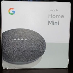 New Google Home mini